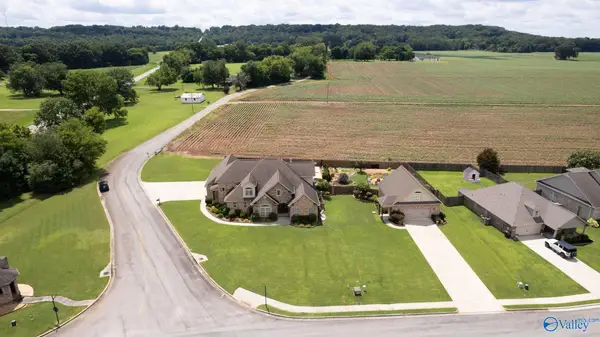 11 Tower Street, Trinity, AL 35673