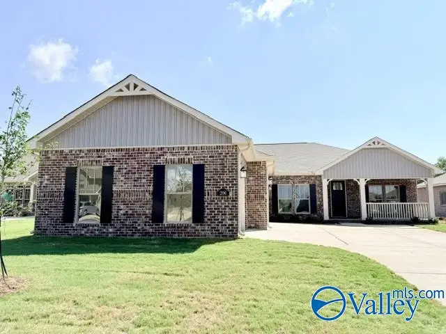 206 Emma Harris Circle, Madison, AL 35756 - #3