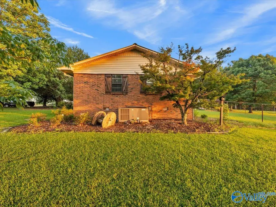 1674 County Road 56, Fyffe, AL 35971 - #3