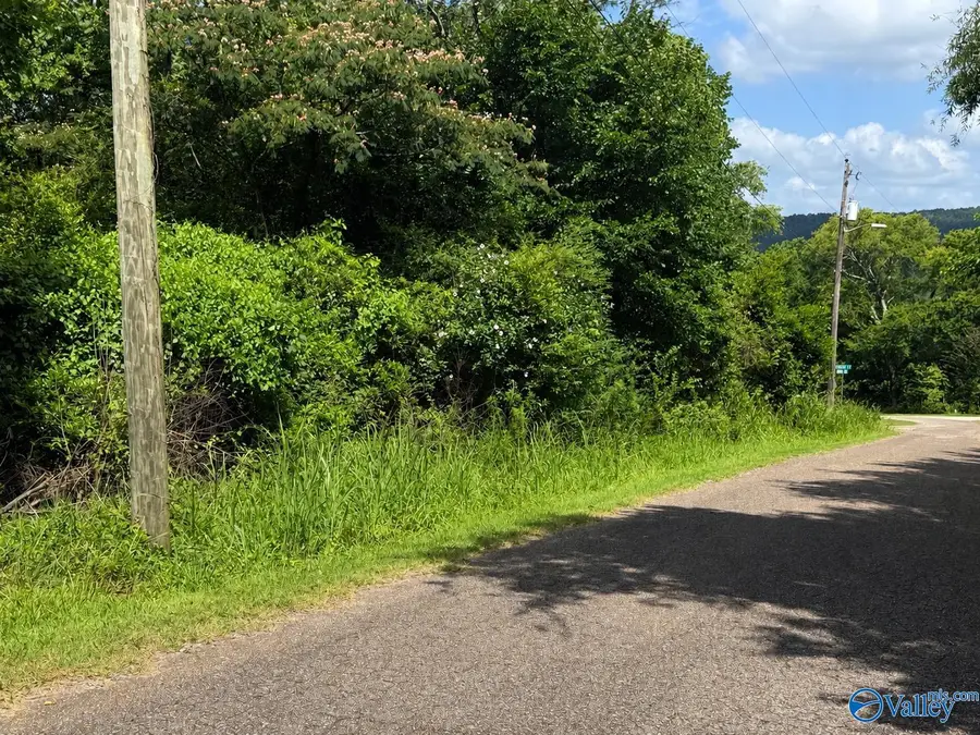 0.47 acres South Court, Gadsden, AL 36904 - #2