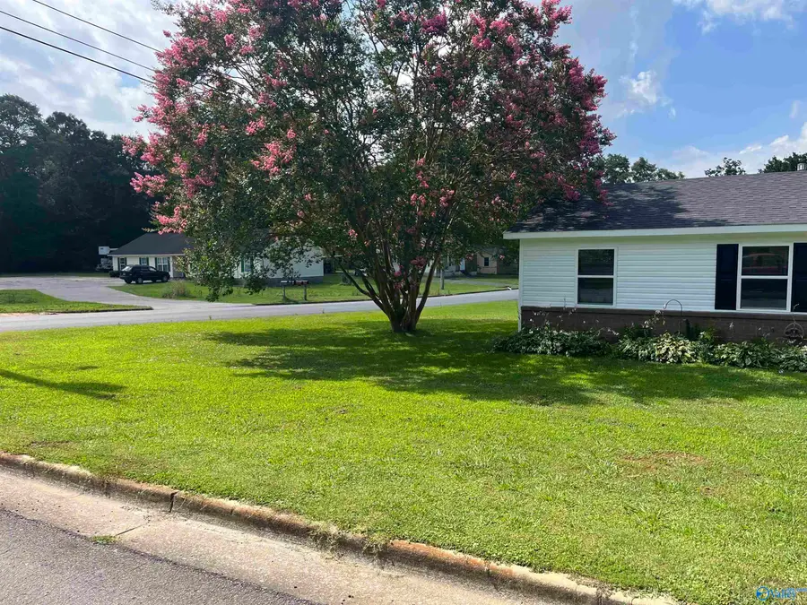 698 Tie Street, Albertville, AL 35950 - #3