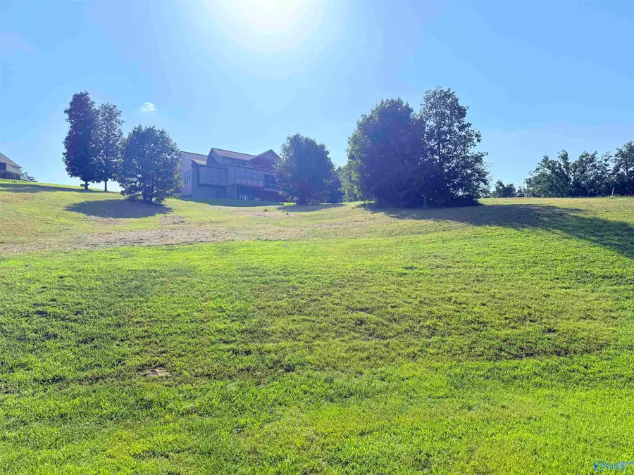 42 Legendary Drive, Guntersville, AL 35976 - #2