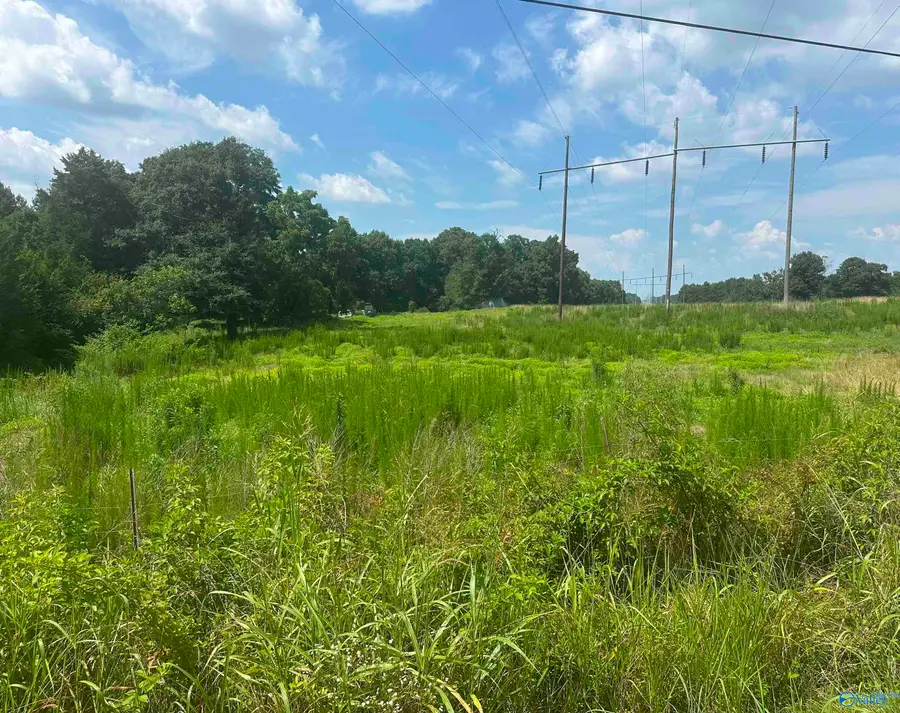 69 ACRES Brashiers Chapel Road, Arab, AL 35016 - #3