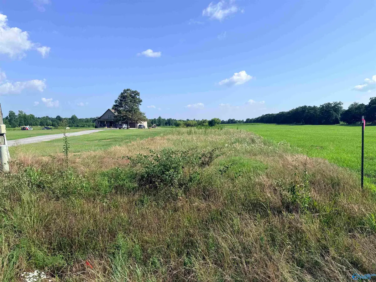 Tract C Quinn Road, Athens, AL 35611 - #1