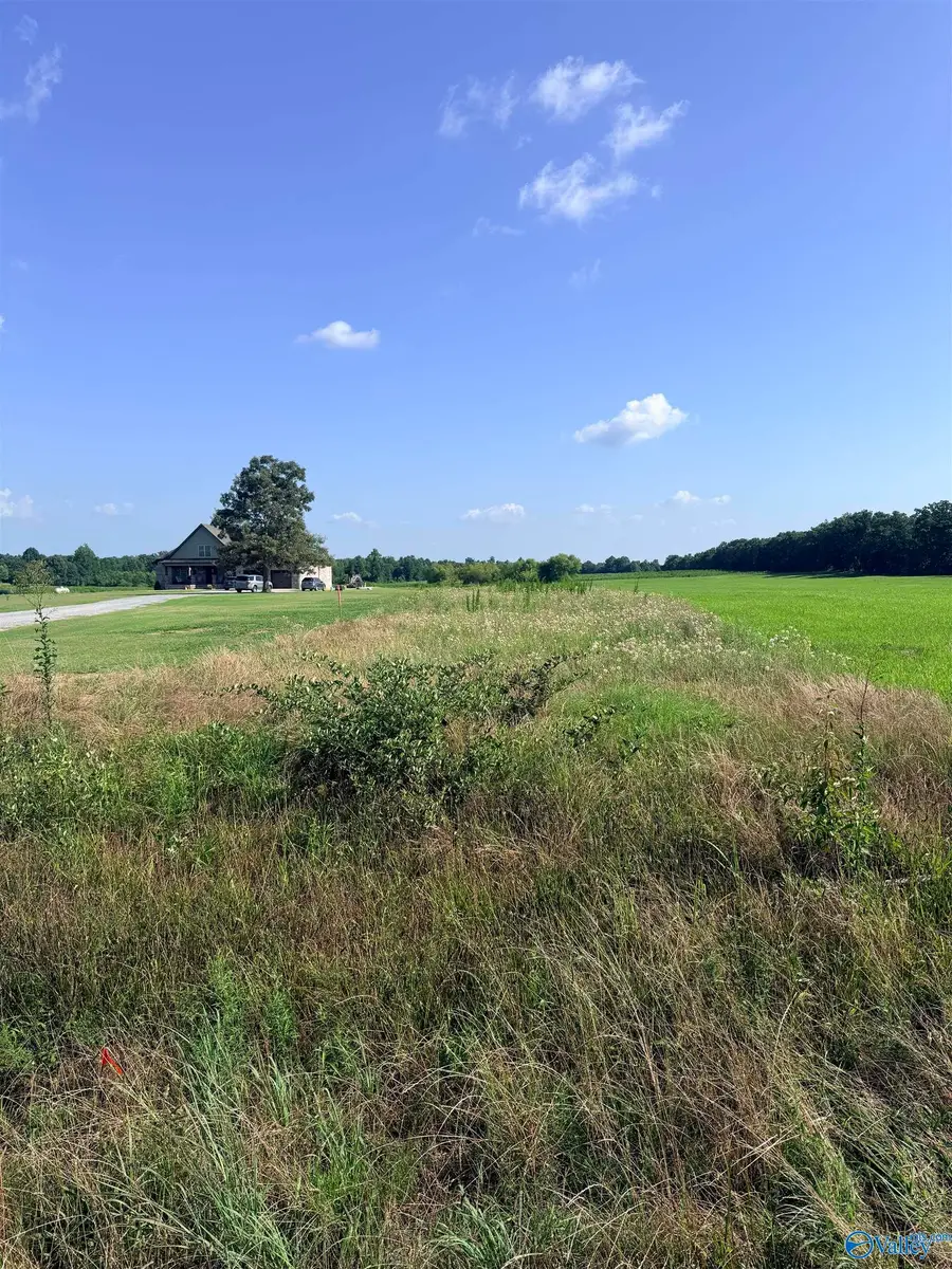 Tract C Quinn Road, Athens, AL 35611 - #2