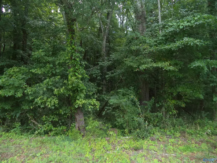 Lot 26 Cottonwood Drive, Hazel Green, AL 35750 - #2