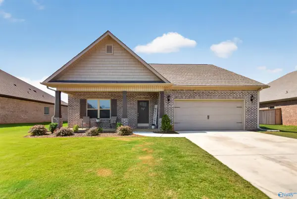 242 Paladin Str Paladin Street, New Market, AL 35761
