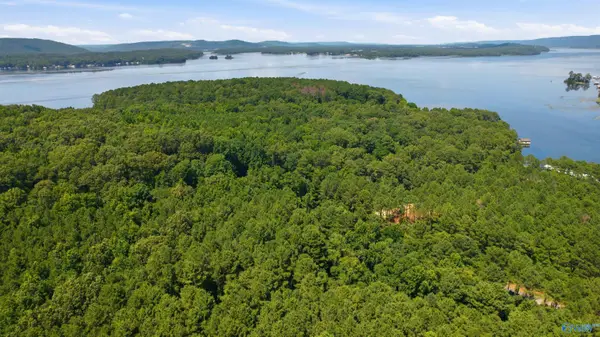 690 John Cabaniss Road, Langston, AL 35755