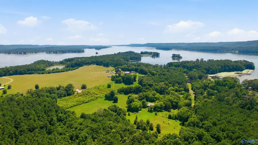 460 John Cabaniss Road, Langston, AL 35755 - #3