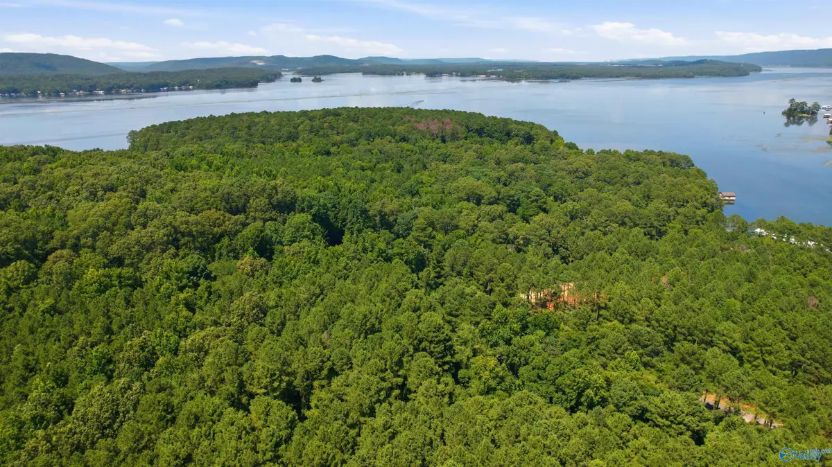 331 John Cabaniss Road, Langston, AL 35755 - #1