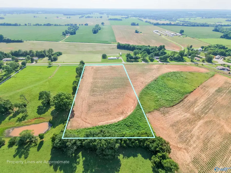 5AC Steele Lane, New Market, AL 35761 - #3