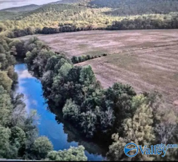 Lot 29 County Road 336, Piedmont, AL 36272