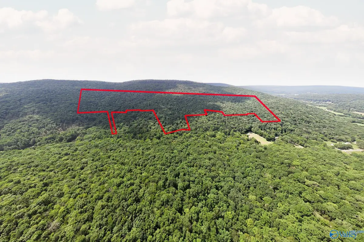70.45 acres Upper Hurricane Road #00, New Market, AL 35761 - #1