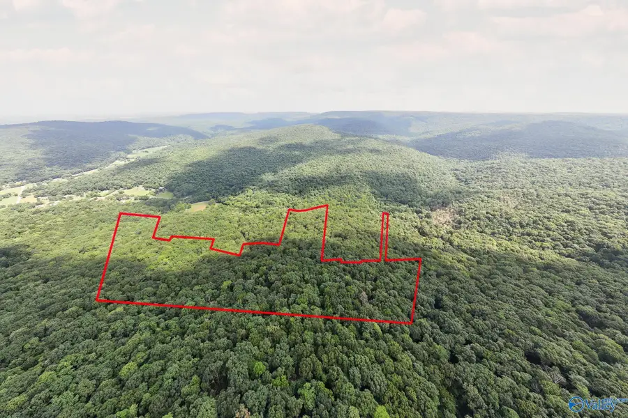 70.45 acres Upper Hurricane Road #00, New Market, AL 35761 - #2