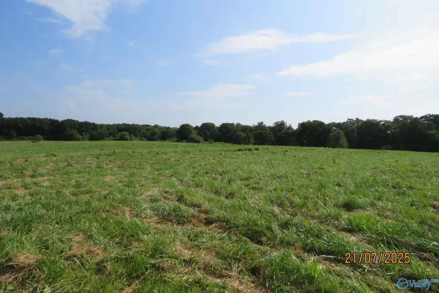 Tract 9 Brown Road, Boaz, AL 35957 - #2