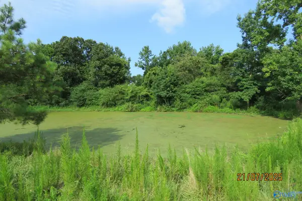 Tract 10 Brown Road, Boaz, AL 35957