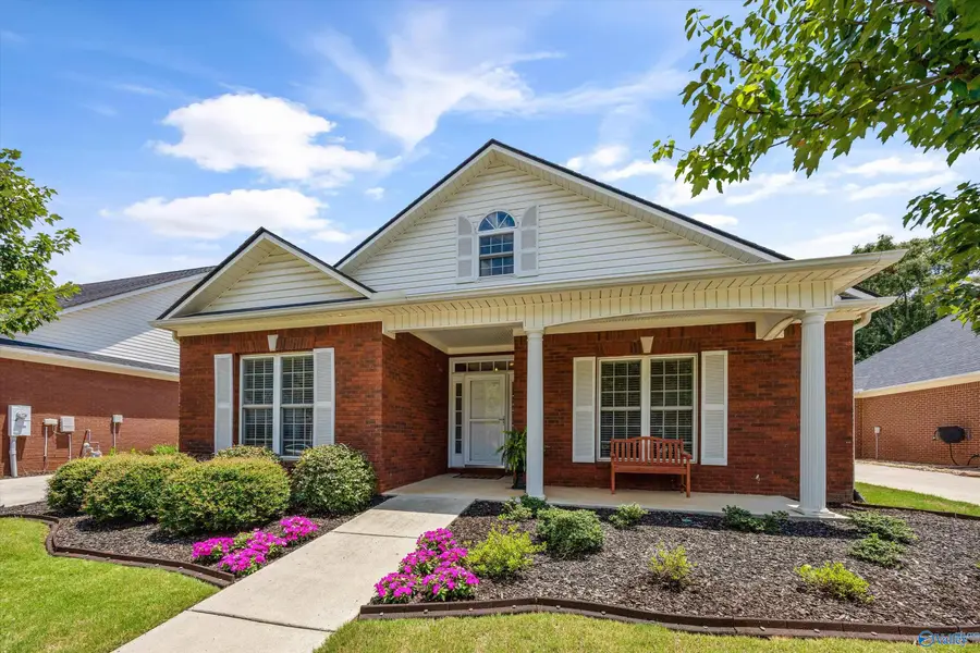 250 Old Overton Drive, Madison, AL 35756 - #2