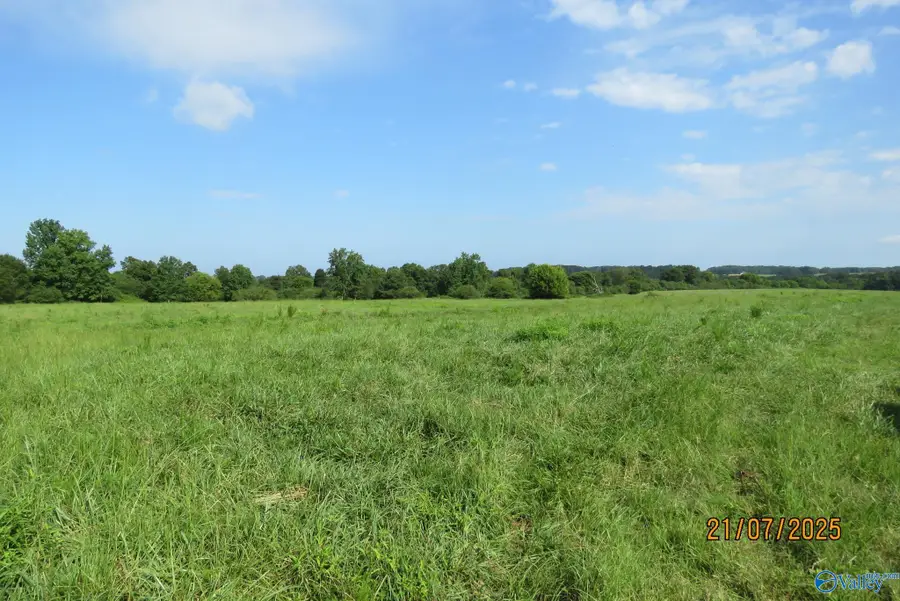 Tract 15 Brown Road, Boaz, AL 35957 - #2
