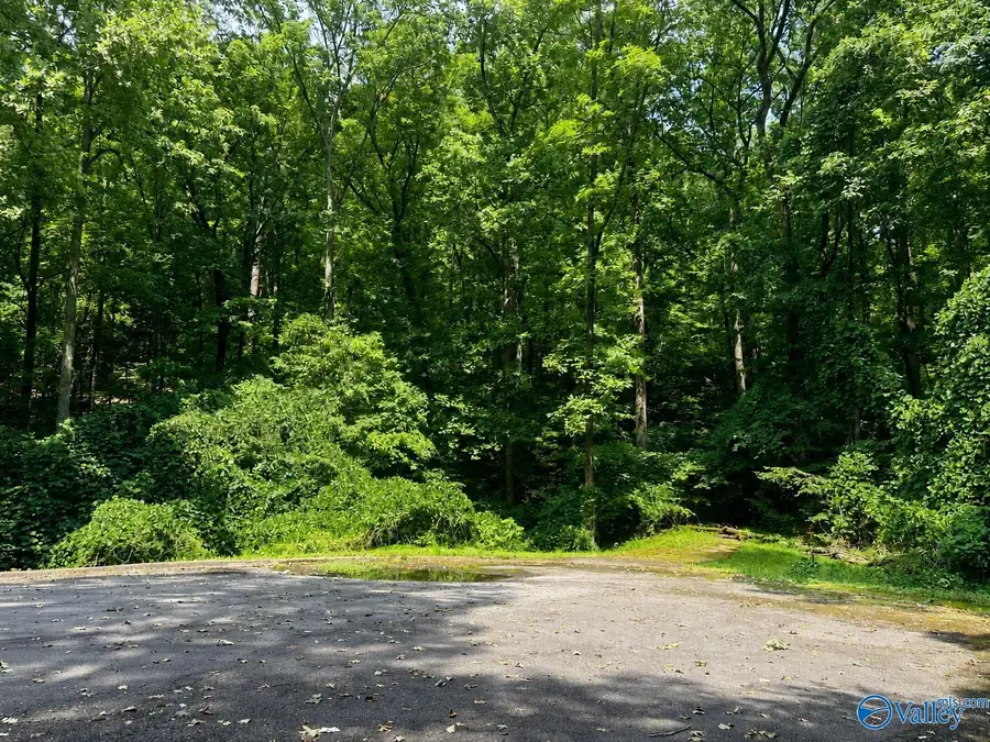 6 Northwoods Trail, Gadsden, AL 35901 - #2