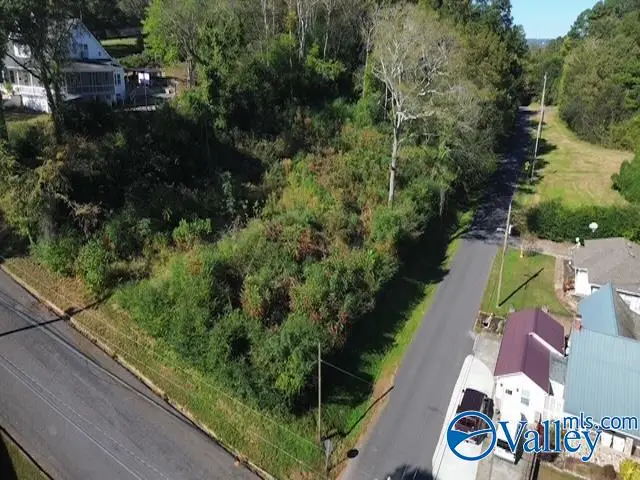2195 Taylor Street, Guntersville, AL 35976 - #2