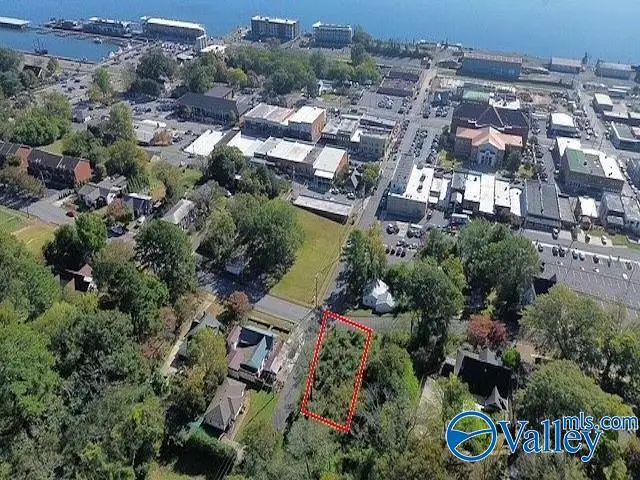 2195 Taylor Street, Guntersville, AL 35976 - #3