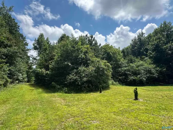 3 Acres Mount Carmel Drive, Guntersville, AL 35976
