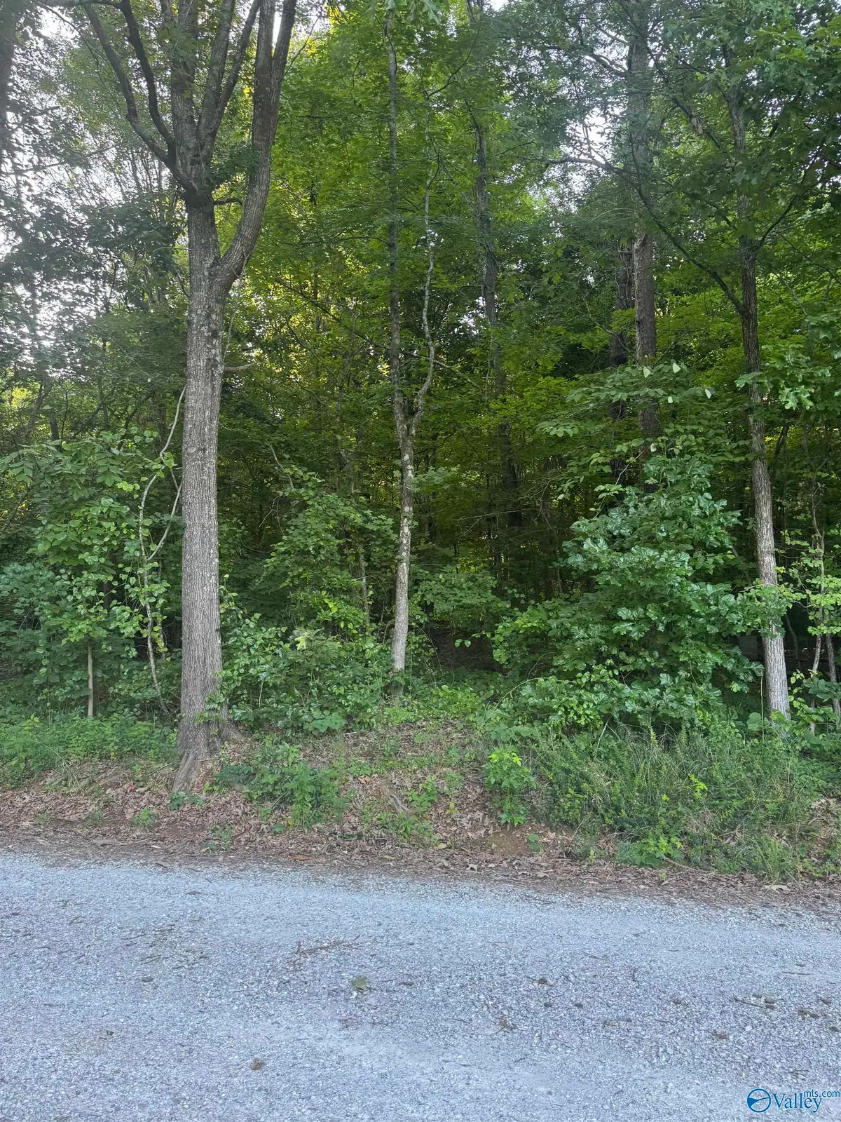 Lot 71 Goldenrod Way, Athens, AL 35614 - #1