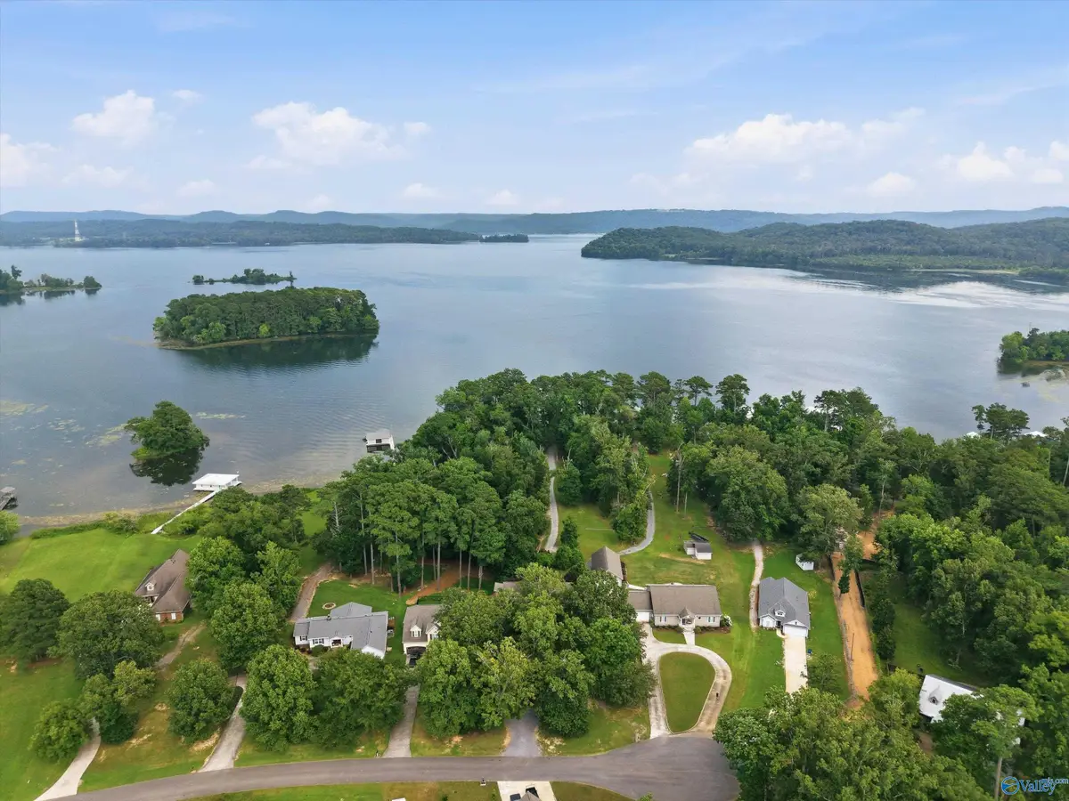 173 Morningside Drive, Guntersville, AL 35976 - #1