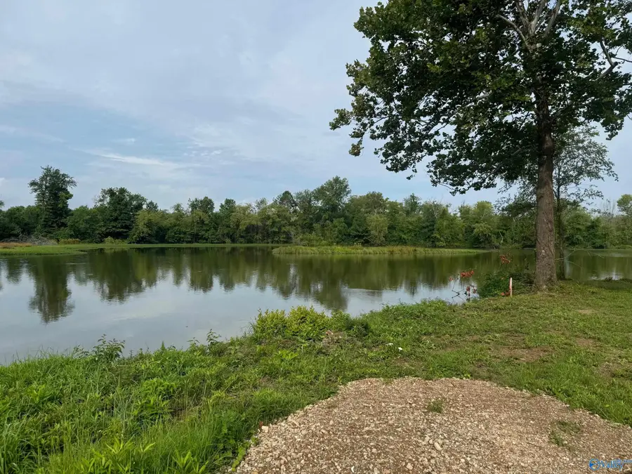 78 County Road 115, Cedar Bluff, AL 35959 - #3