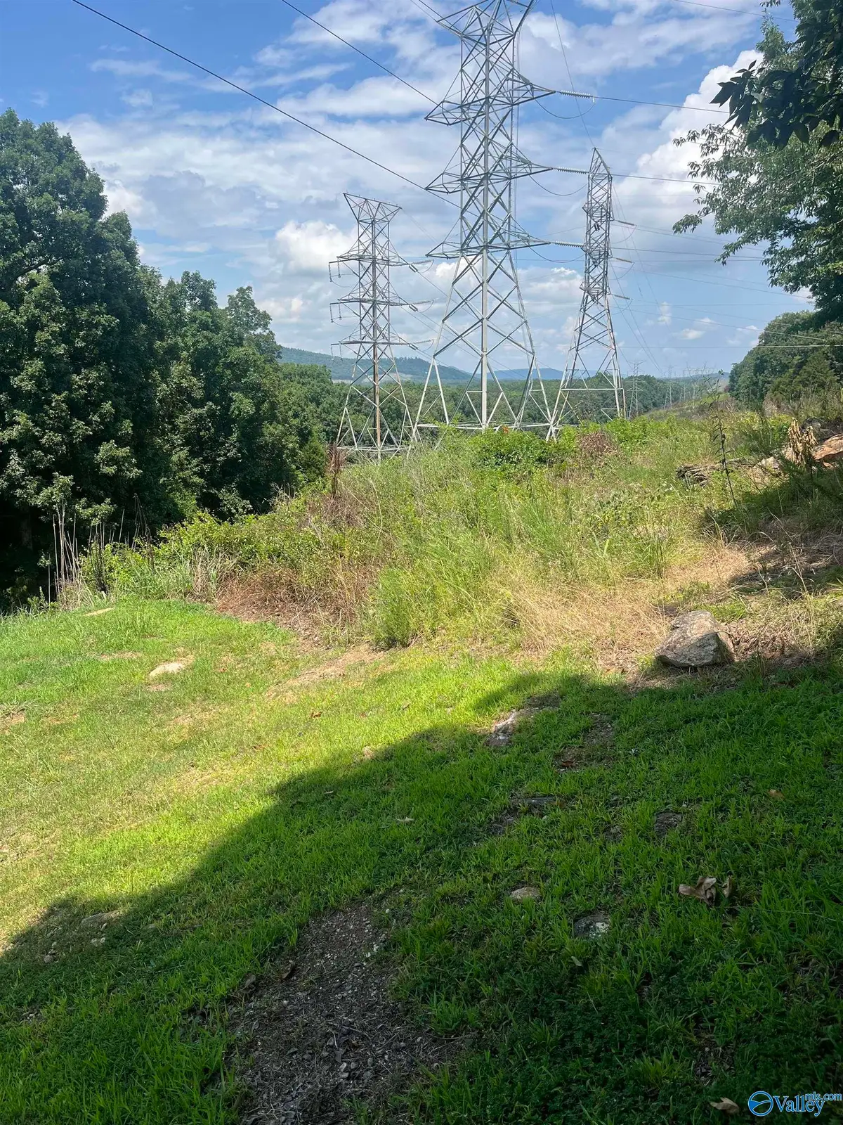 1.12 acres Savory Drive, Scottsboro, AL 35769 - #1