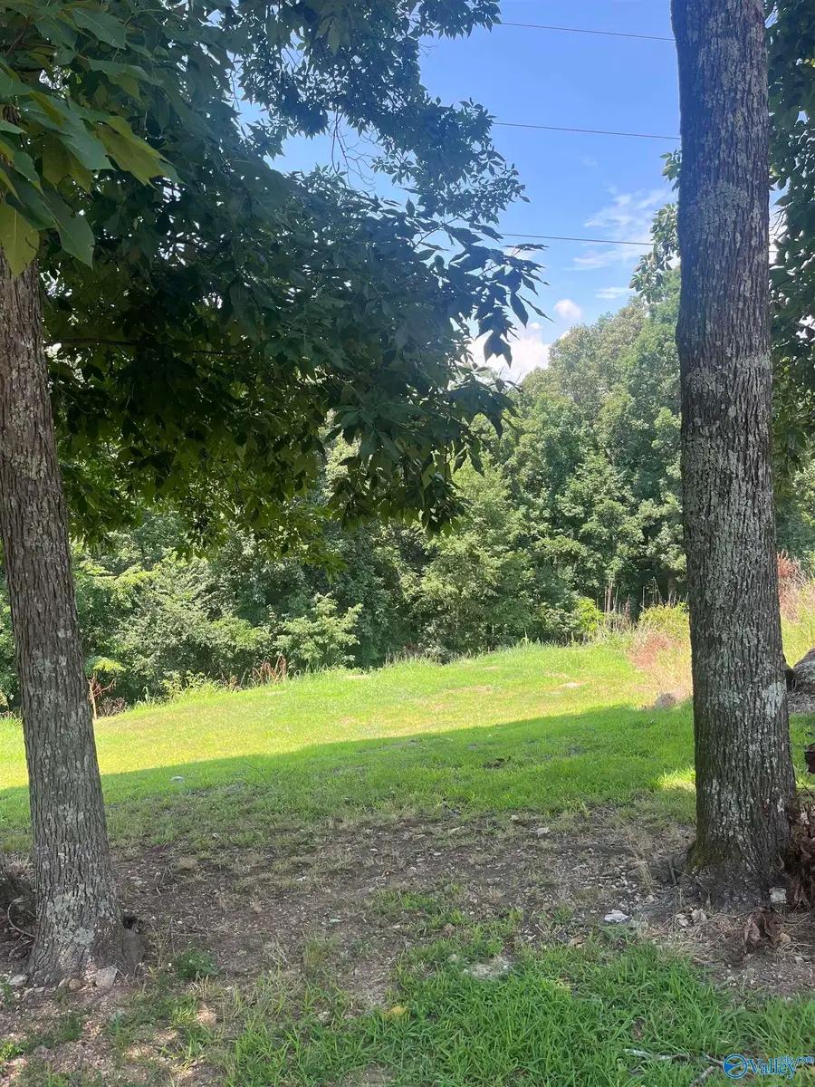 1.12 acres Savory Drive, Scottsboro, AL 35769 - #2