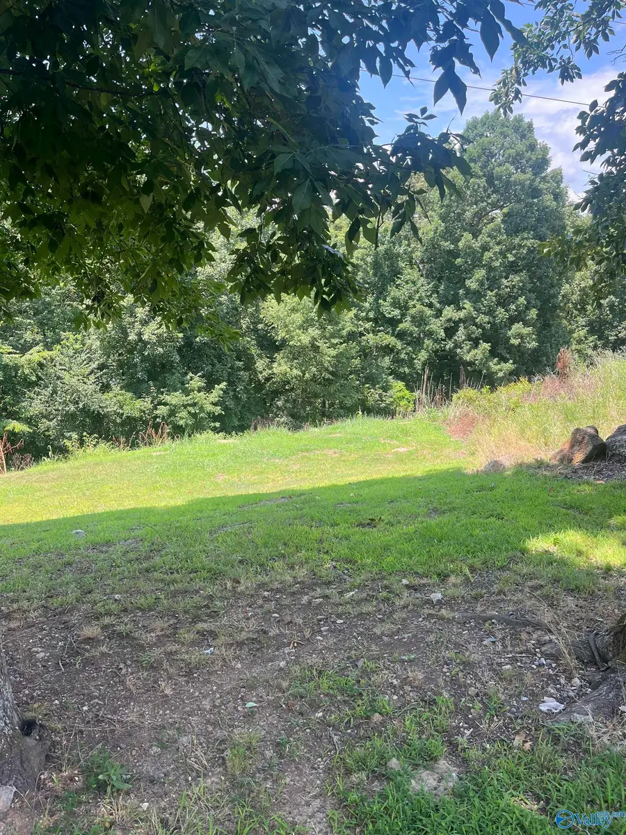 1.12 acres Savory Drive, Scottsboro, AL 35769 - #3