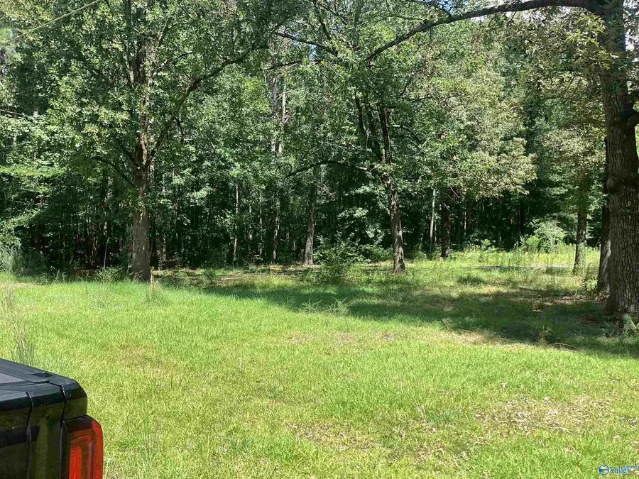 13 acres Gray Road, Gadsden, AL 35903 - #2