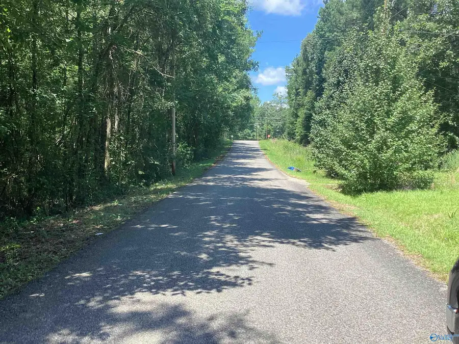 13 acres Gray Road, Gadsden, AL 35903 - #3