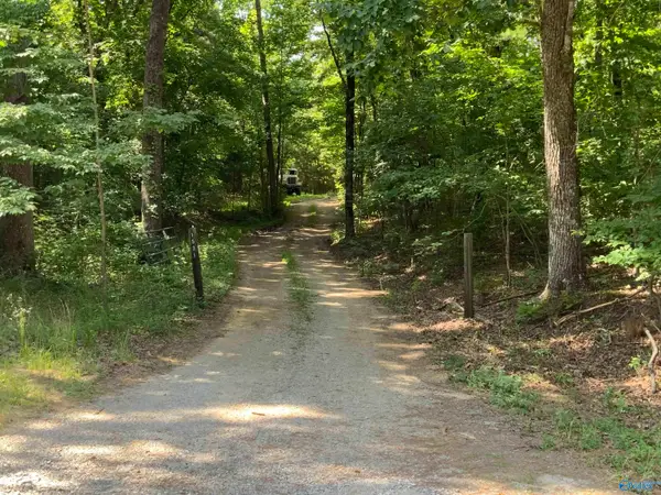 15 Acres County Road 216, Woodville, AL 35776