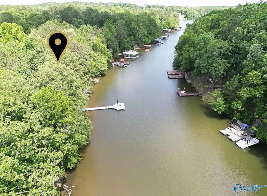199 Lakewood Drive #LOT 45, Wedowee, AL 36278 - #2