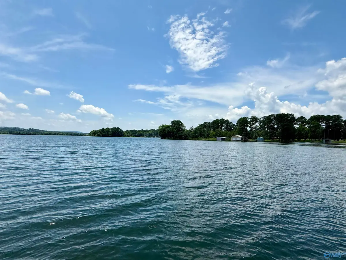 340 Baptist Camp Road, Guntersville, AL 35976 - #1