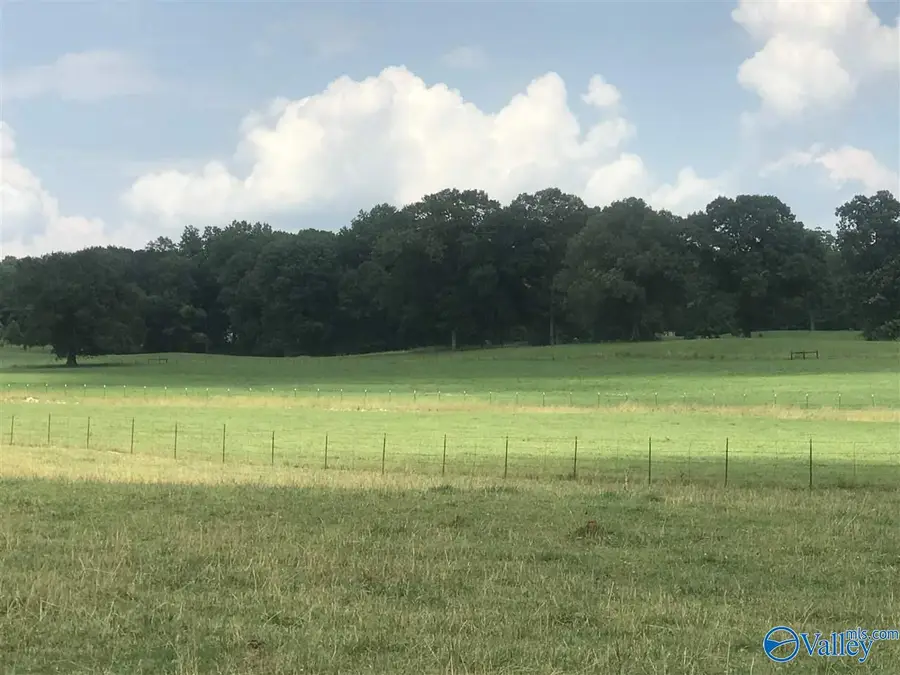 8 Hawthorn Way, Trinity, AL 35673 - #2