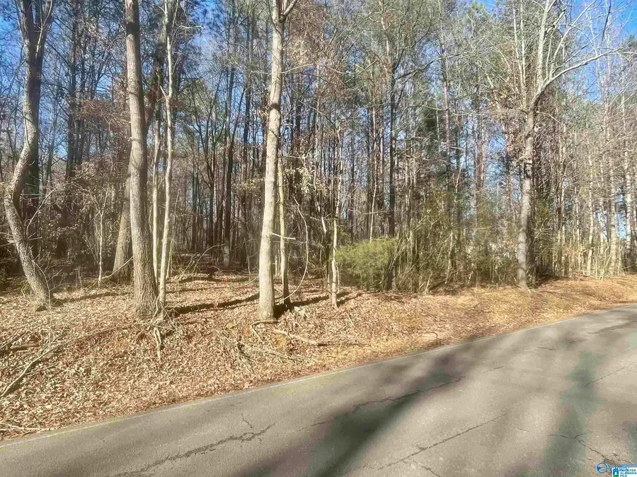 7 York Drive, Rogersville, AL 35652 - #2