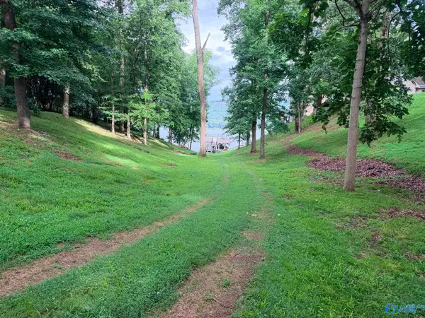 Lot 230 Lookout Mountain Drive, Scottsboro, AL 35769