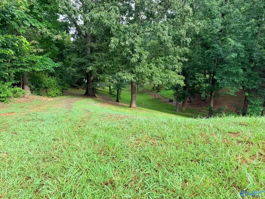 Lot 230 Lookout Mountain Drive, Scottsboro, AL 35769 - #2