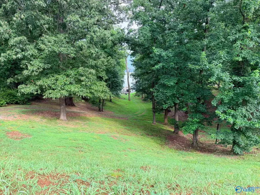 Lot 230 Lookout Mountain Drive, Scottsboro, AL 35769 - #3