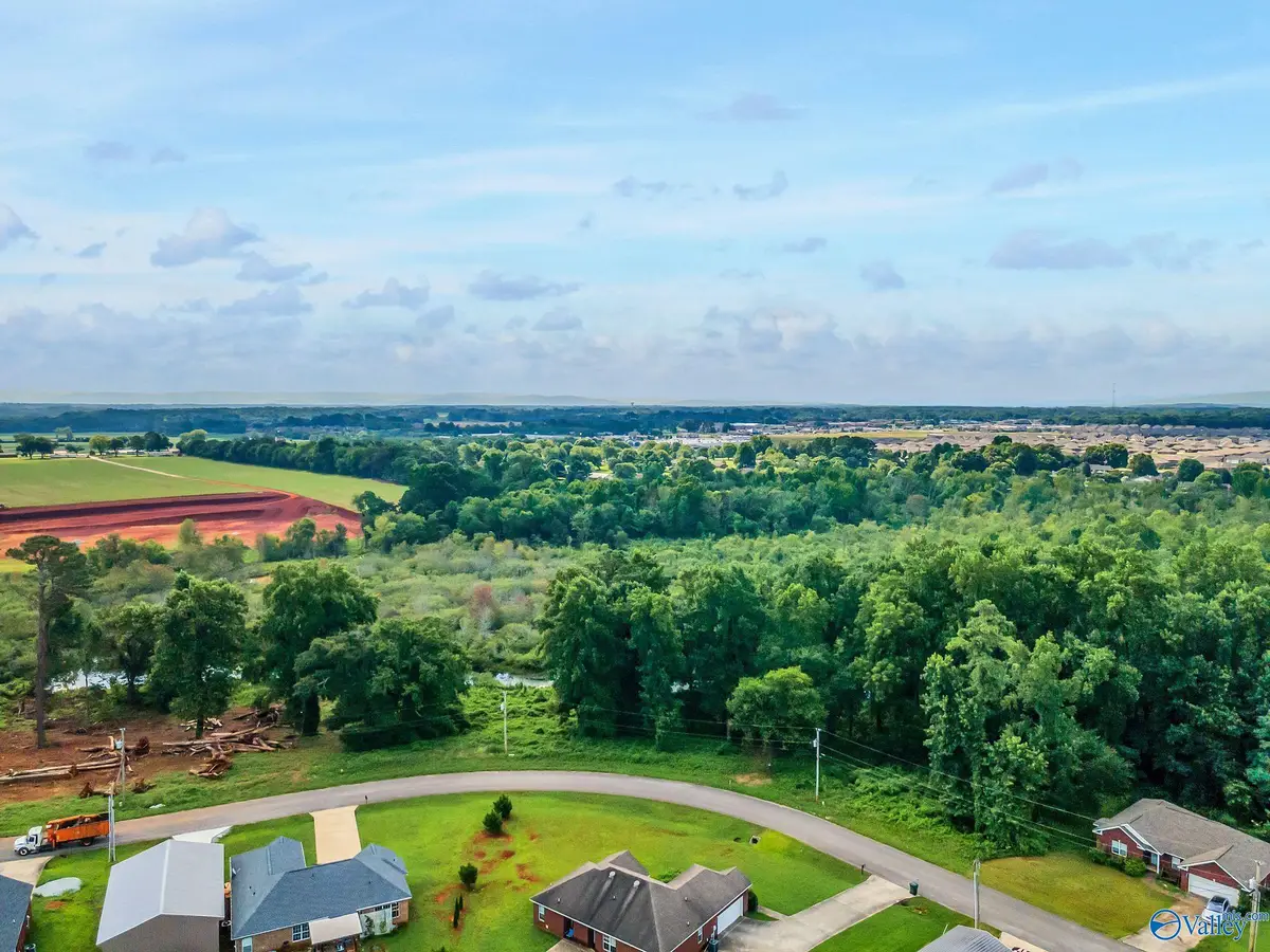 136 Easy Street, Hazel Green, AL 35750 - #1