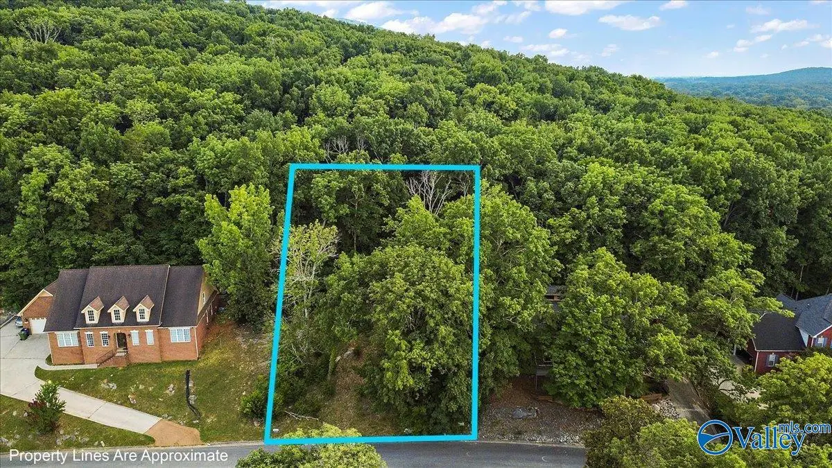 3040 Box Canyon Road Se, Huntsville, AL 35803 - #1