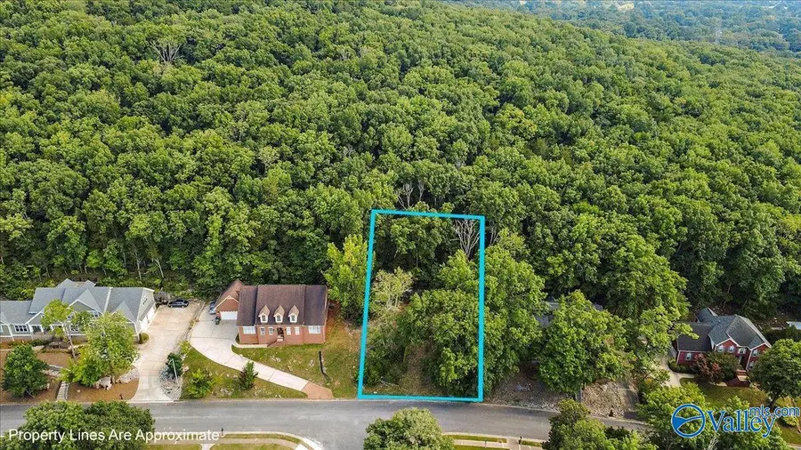 3040 Box Canyon Road Se, Huntsville, AL 35803 - #3