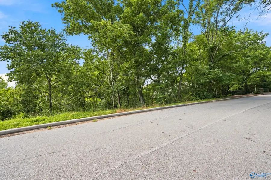 16012 Greentree Trail Se, Huntsville, AL 35803 - #3