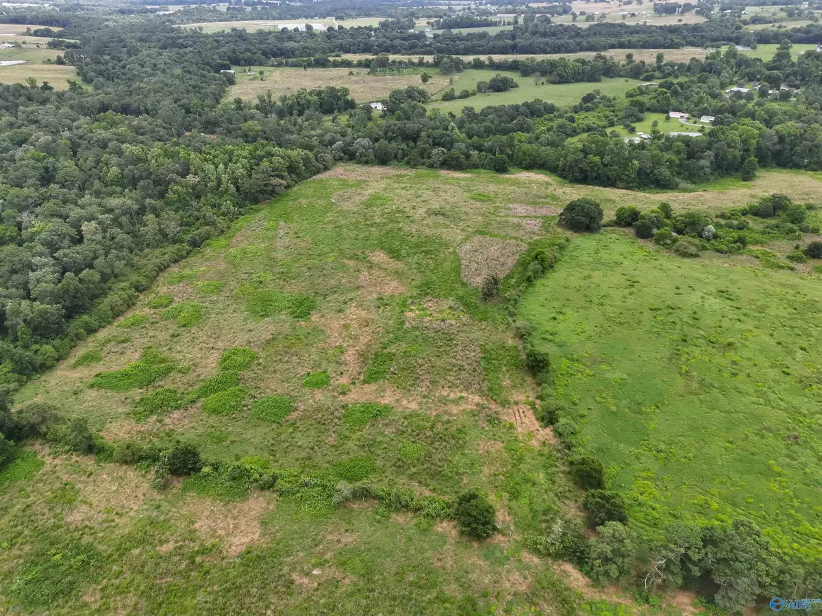 32 AC Brown Road, Boaz, AL 35957 - #1
