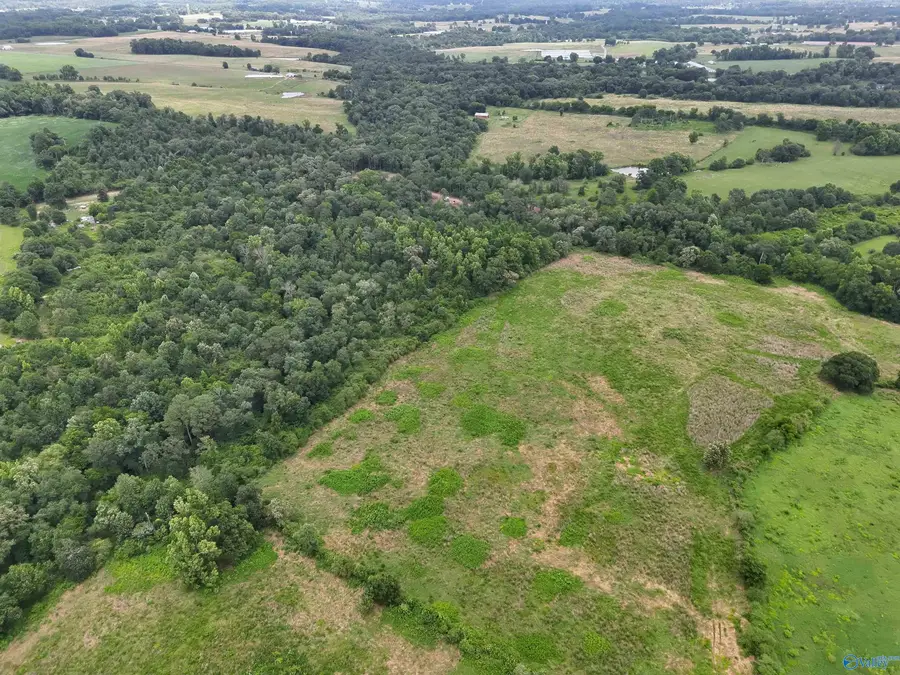32 AC Brown Road, Boaz, AL 35957 - #2