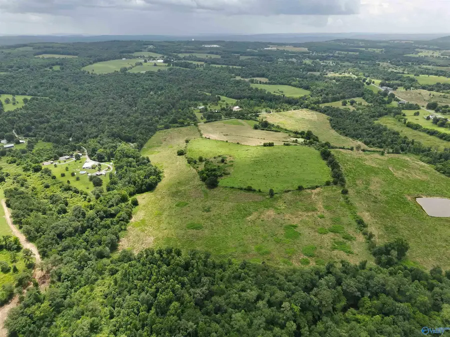 32 AC Brown Road, Boaz, AL 35957 - #3