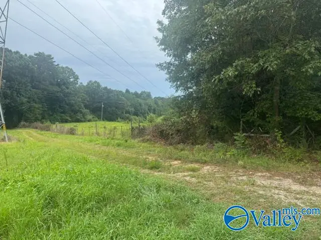 196 County Road 230, Hollywood, AL 35752 - #1